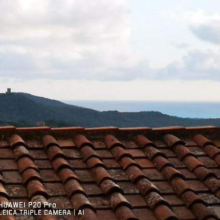 Il Nespolo Villa Castagneto Carducci Luaran gambar